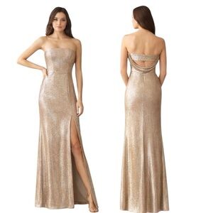 NWT HAYLEY PAIGE OCCASIONS 52301 Dress Rose/Silver Strapless Maxi Sz 12